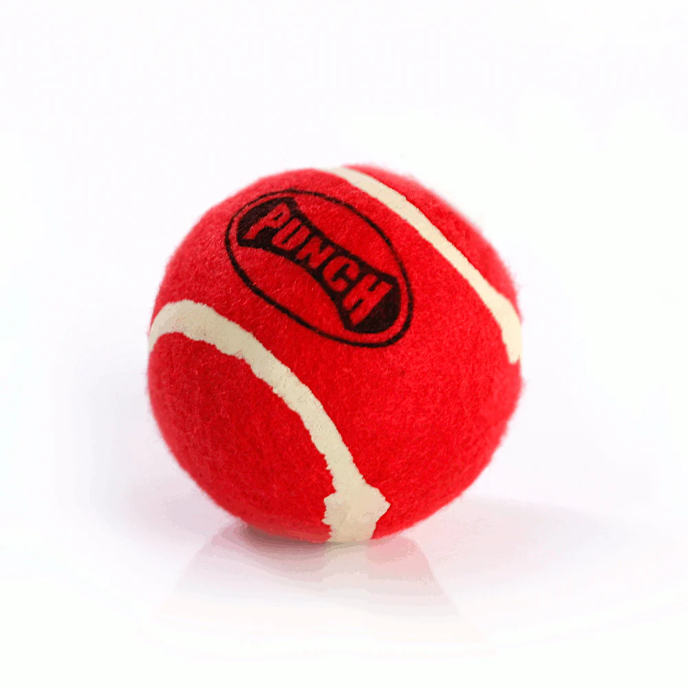 PUNCH REFLEX BALL - Image 3