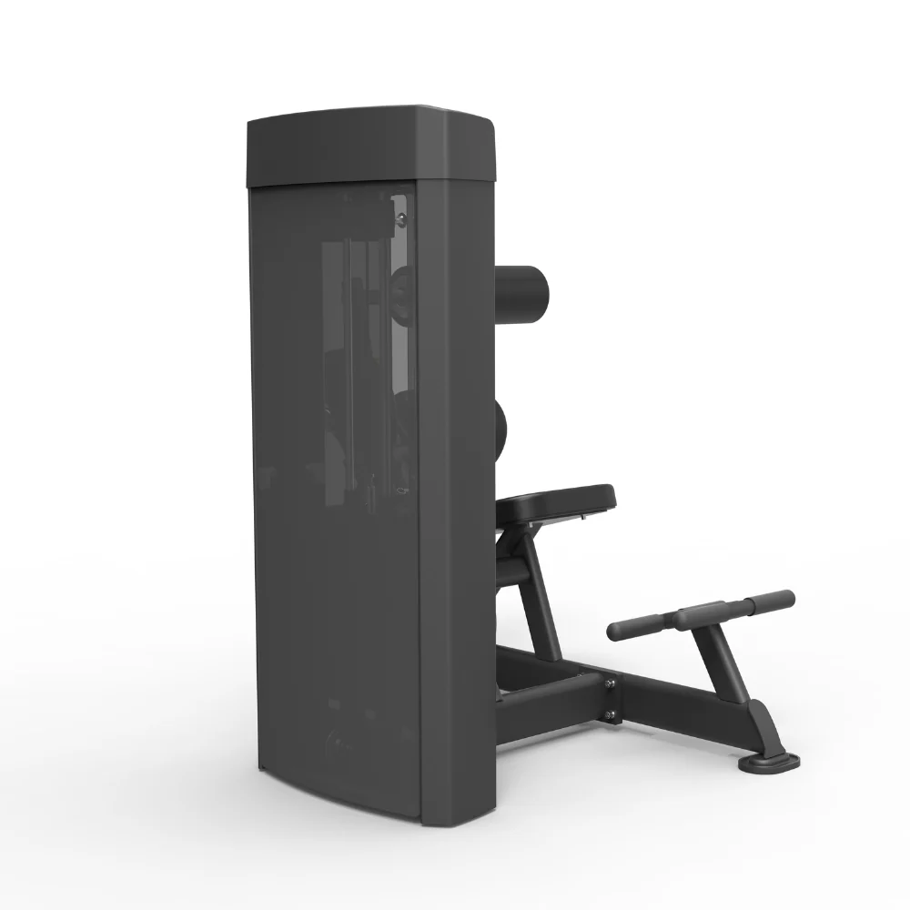 Spirit Dual Function Commercial Strength - Abdominal / Back Extension - Image 2