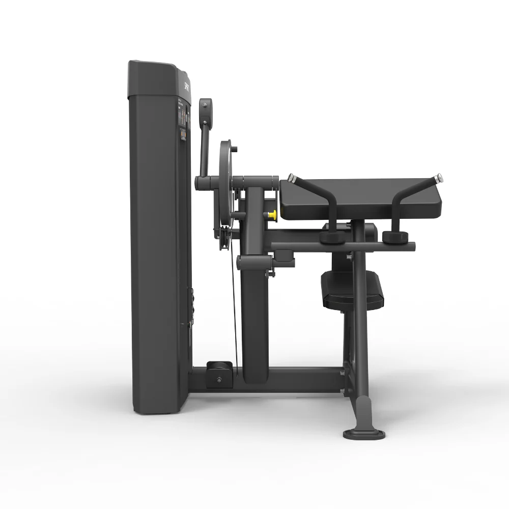 Spirit Dual Function Commercial Strength - Seated Biceps Curl / Triceps - Image 2