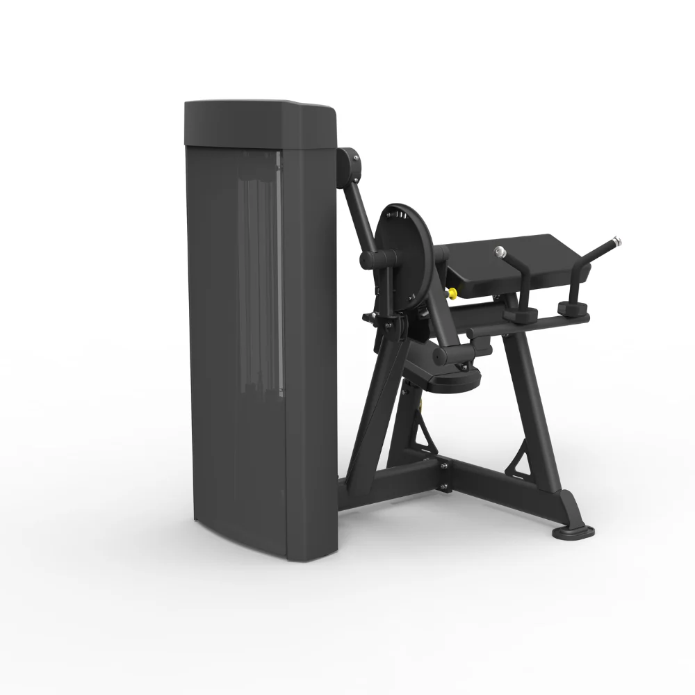 Spirit Dual Function Commercial Strength - Seated Biceps Curl / Triceps - Image 3